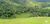 Terreno, 2 hectares - Foto 3