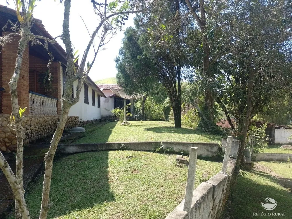 Fazenda, 34 hectares - Foto 7