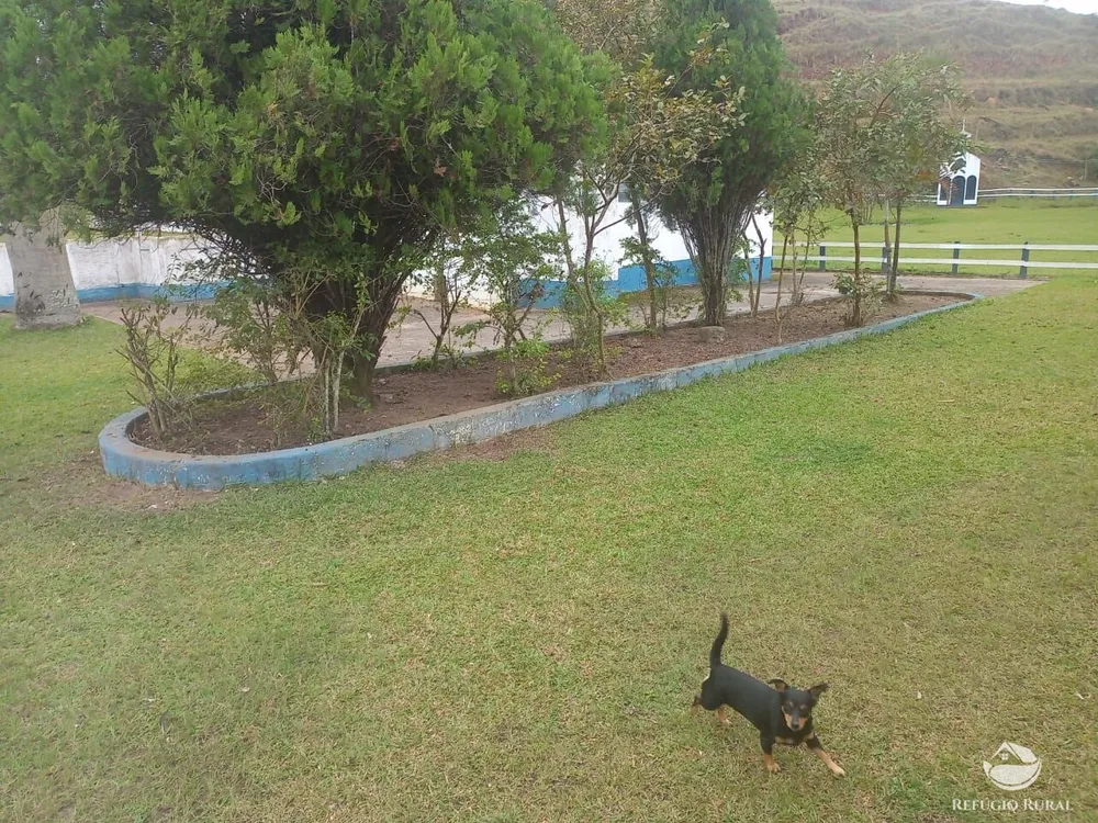 Fazenda, 34 hectares - Foto 11