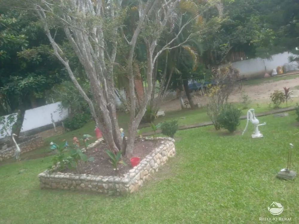Fazenda, 34 hectares - Foto 10