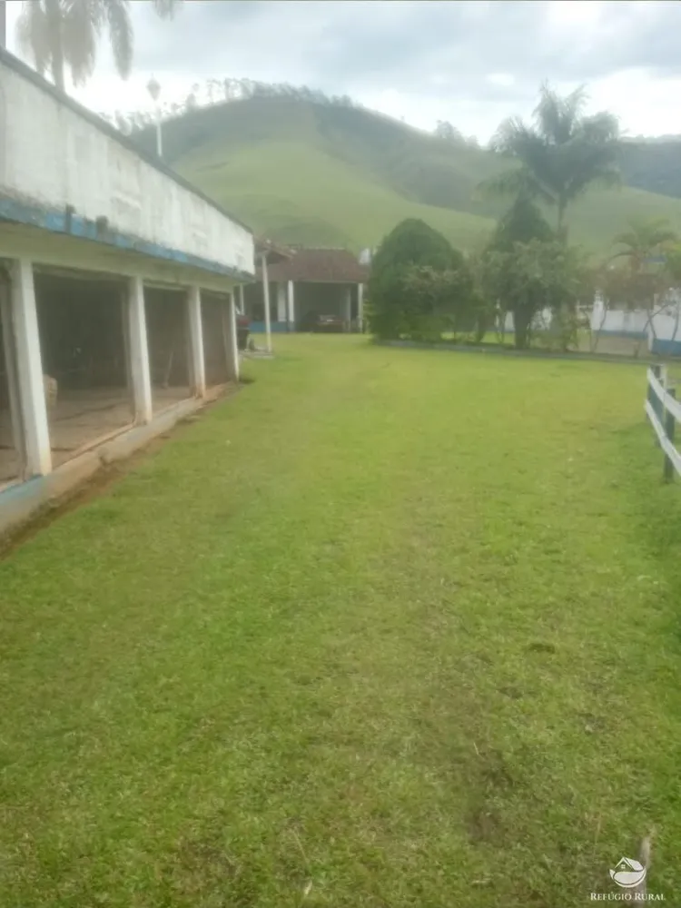 Fazenda, 34 hectares - Foto 12