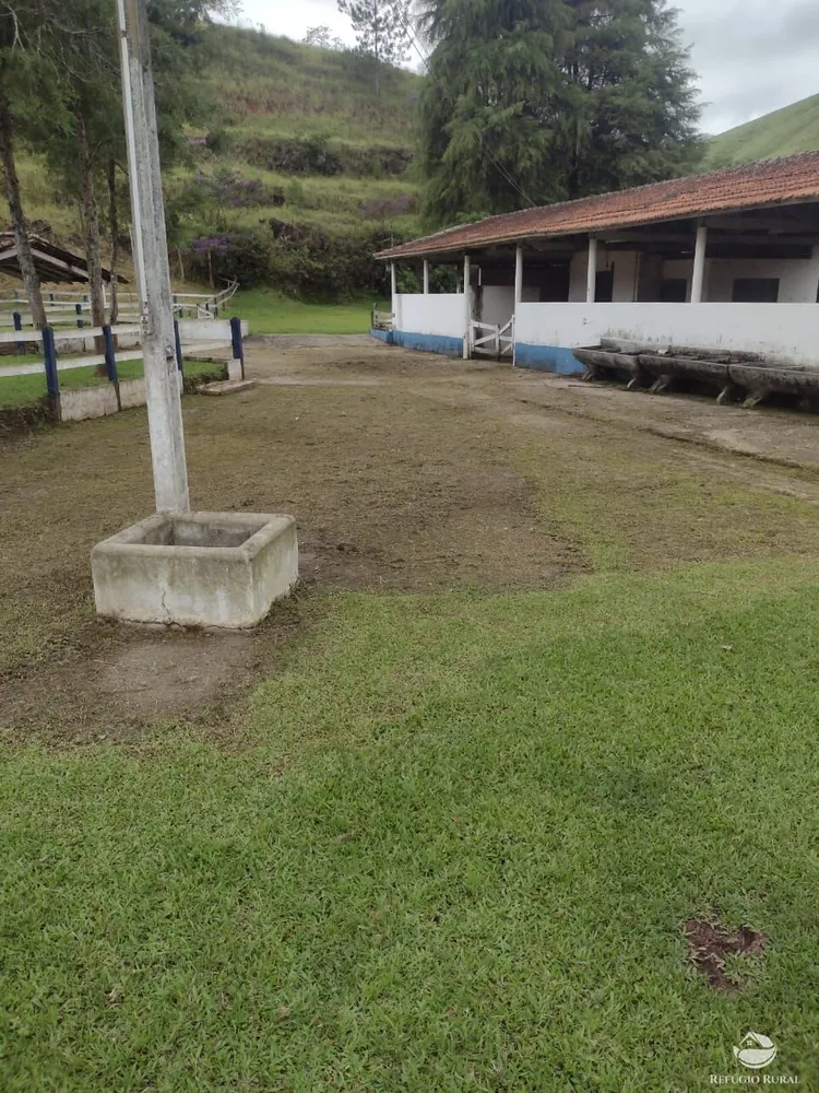Fazenda, 34 hectares - Foto 20