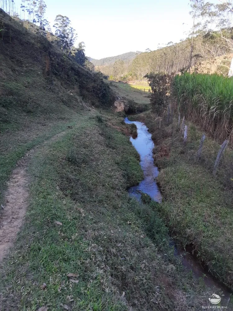 Chácara, 10 hectares - Foto 8