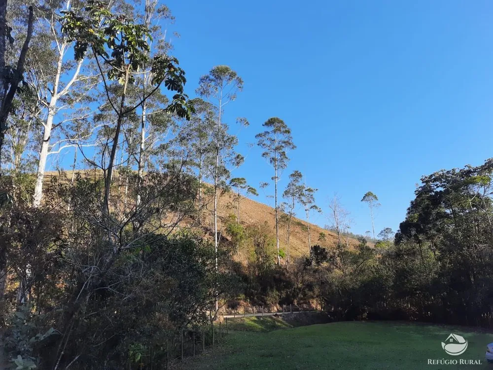 Chácara, 10 hectares - Foto 4