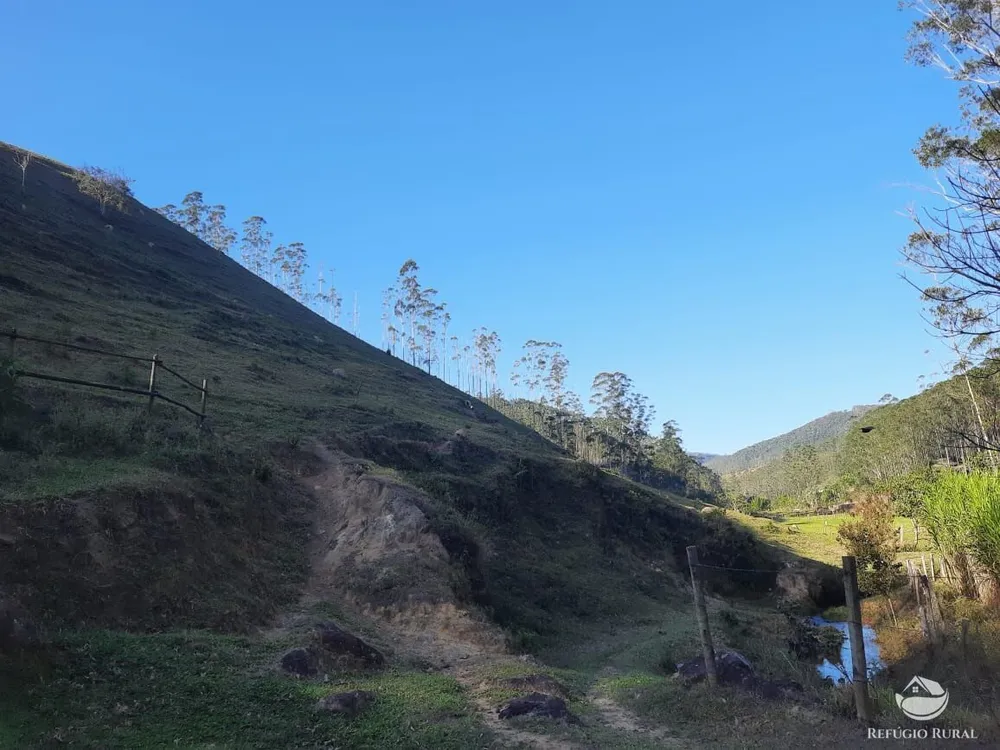 Chácara, 10 hectares - Foto 12