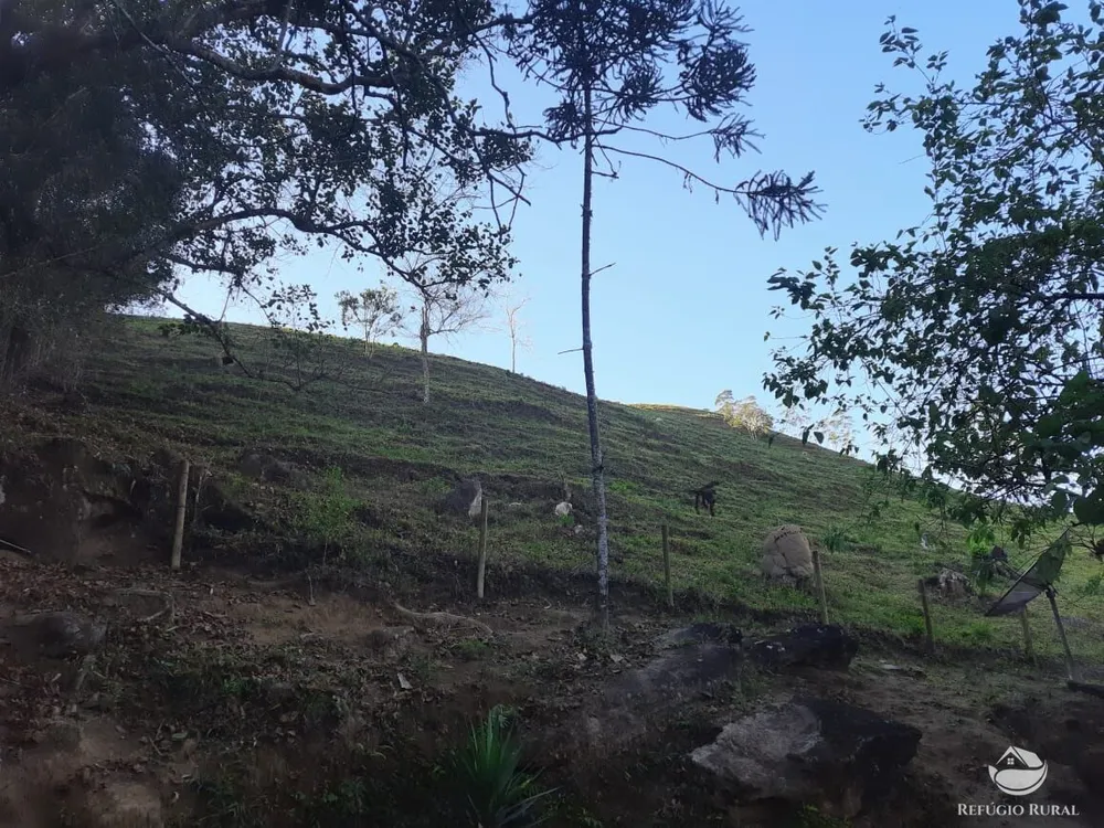 Chácara, 10 hectares - Foto 10