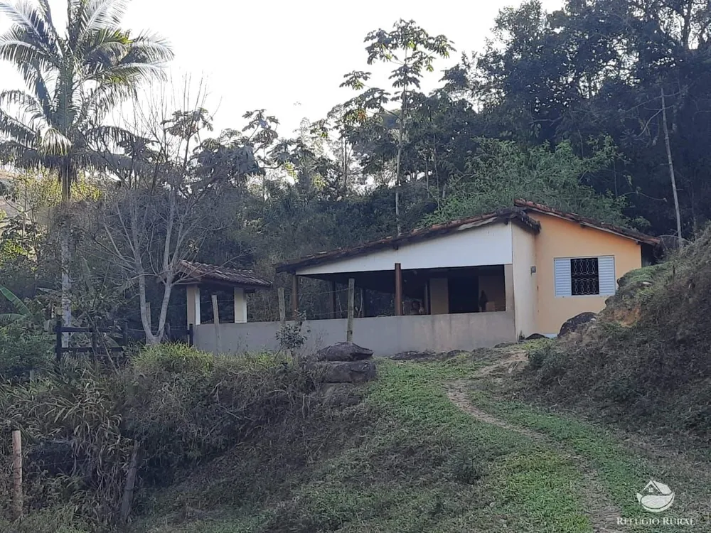 Chácara, 10 hectares - Foto 3