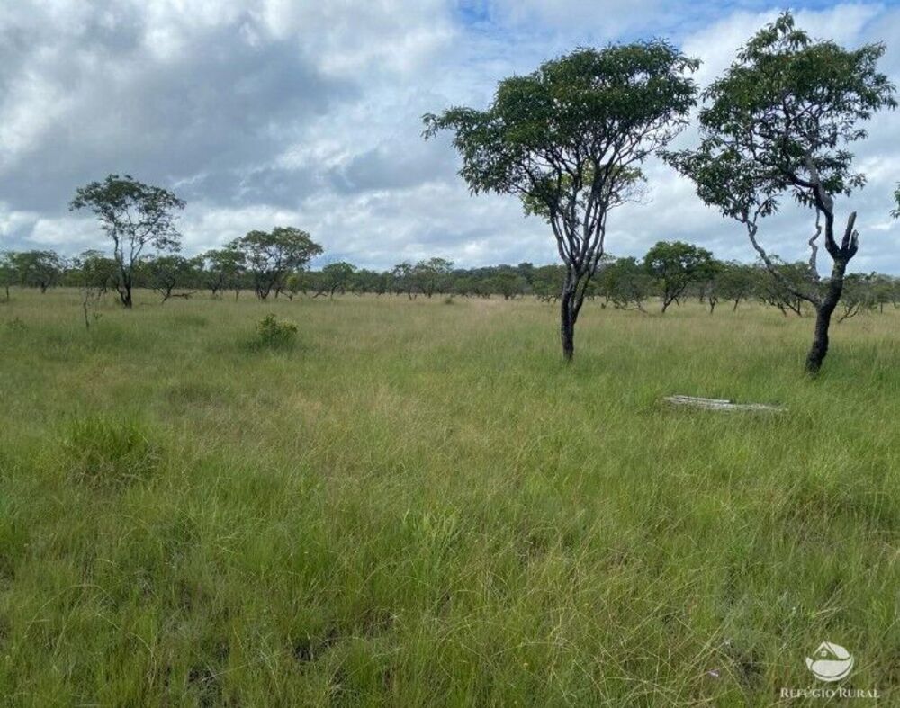 Fazenda, 235 hectares - Foto 4