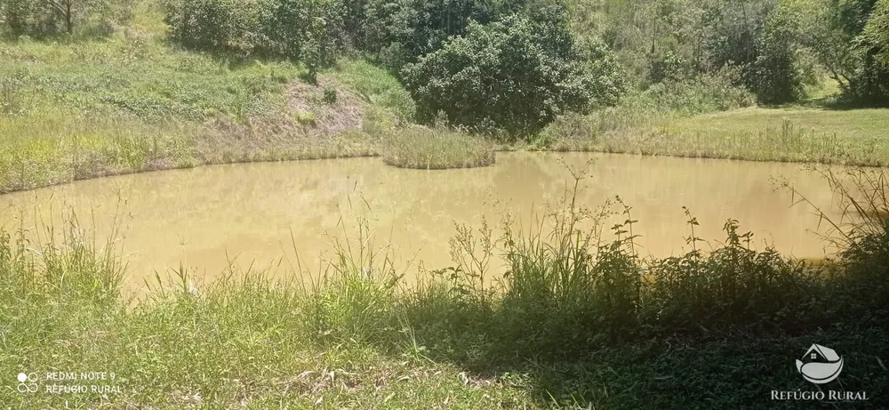 Fazenda, 150 hectares - Foto 6