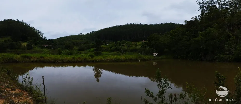 Fazenda, 150 hectares - Foto 13