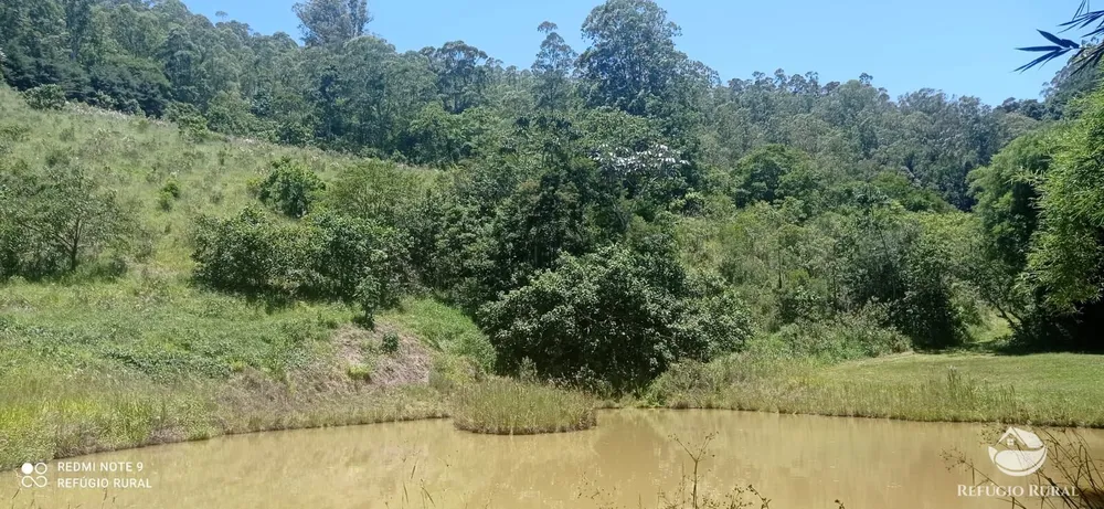 Fazenda, 150 hectares - Foto 14
