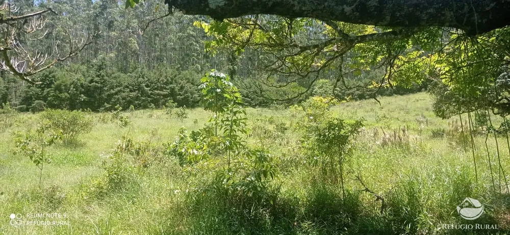 Fazenda, 150 hectares - Foto 8