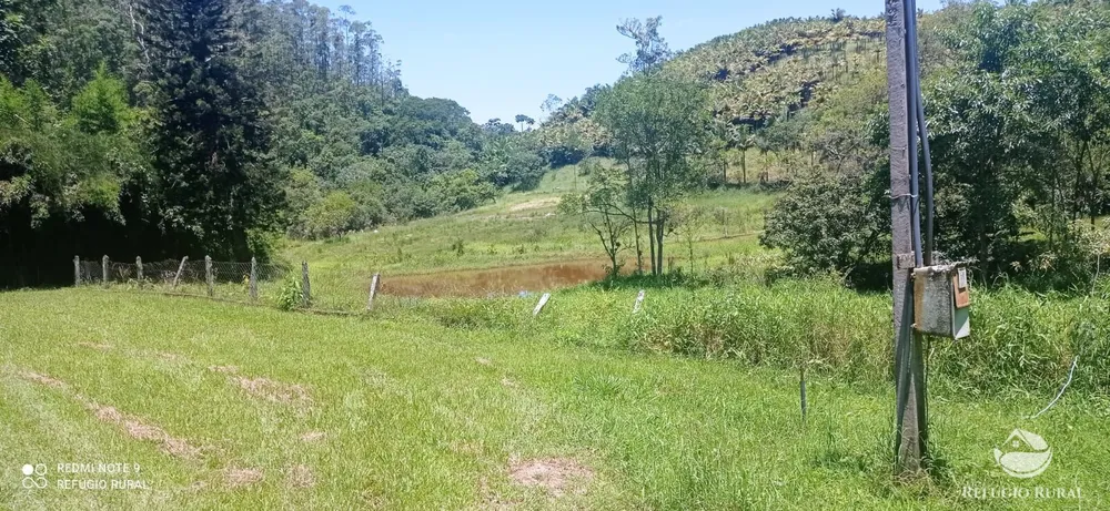 Fazenda, 150 hectares - Foto 5