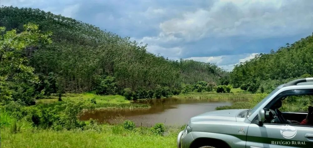 Fazenda, 150 hectares - Foto 18