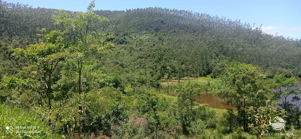 Fazenda, 150 hectares - Foto 7