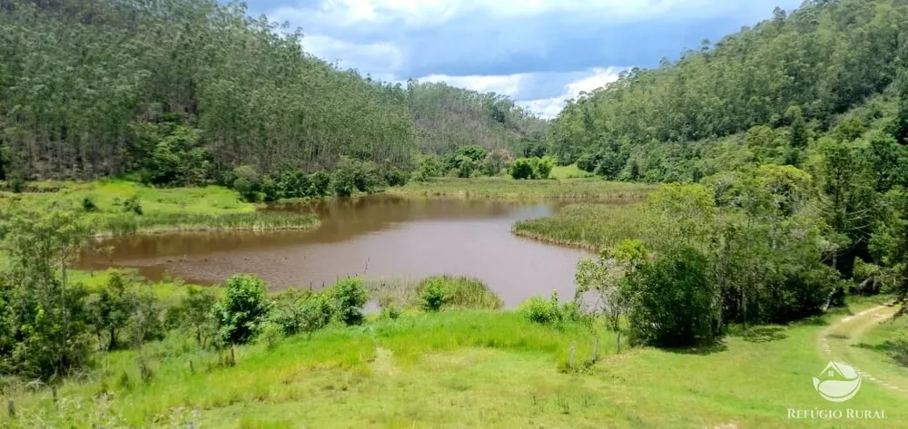 Fazenda, 150 hectares - Foto 20