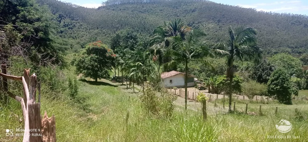 Fazenda, 150 hectares - Foto 1