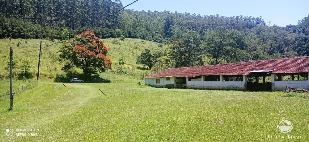 Fazenda, 150 hectares - Foto 3