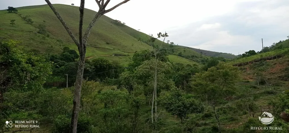 Sítio, 15 hectares - Foto 1