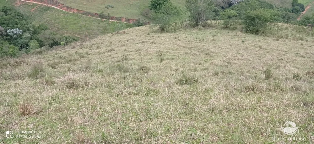 Sítio, 15 hectares - Foto 14
