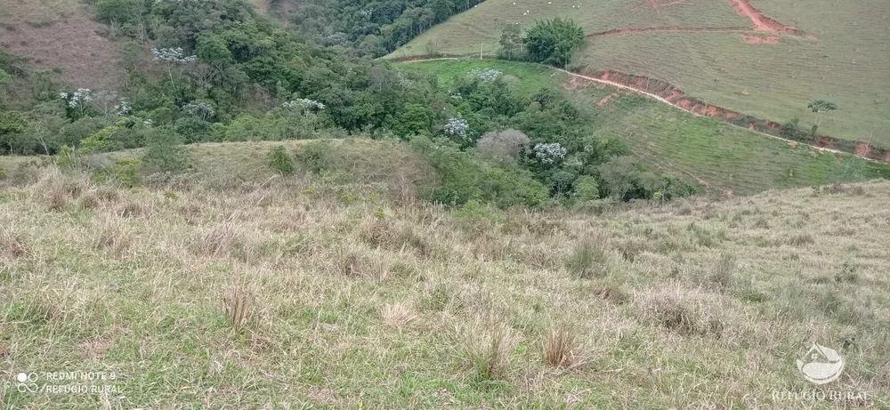 Sítio, 15 hectares - Foto 3