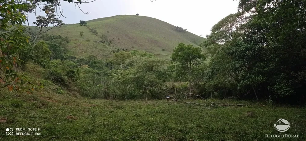 Sítio, 15 hectares - Foto 16
