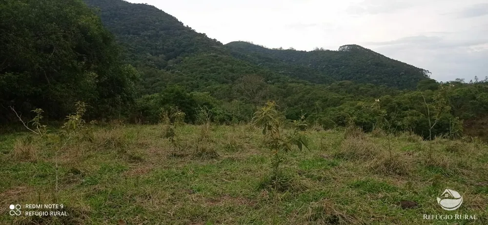 Sítio, 15 hectares - Foto 7