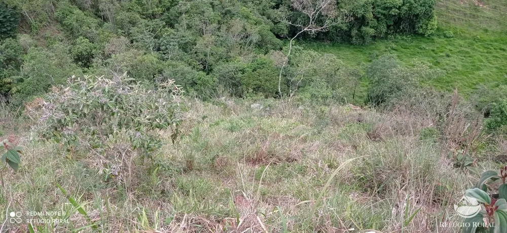 Sítio, 15 hectares - Foto 8