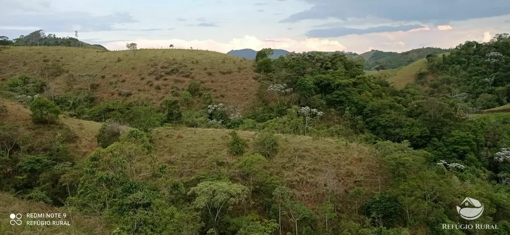 Sítio, 15 hectares - Foto 12