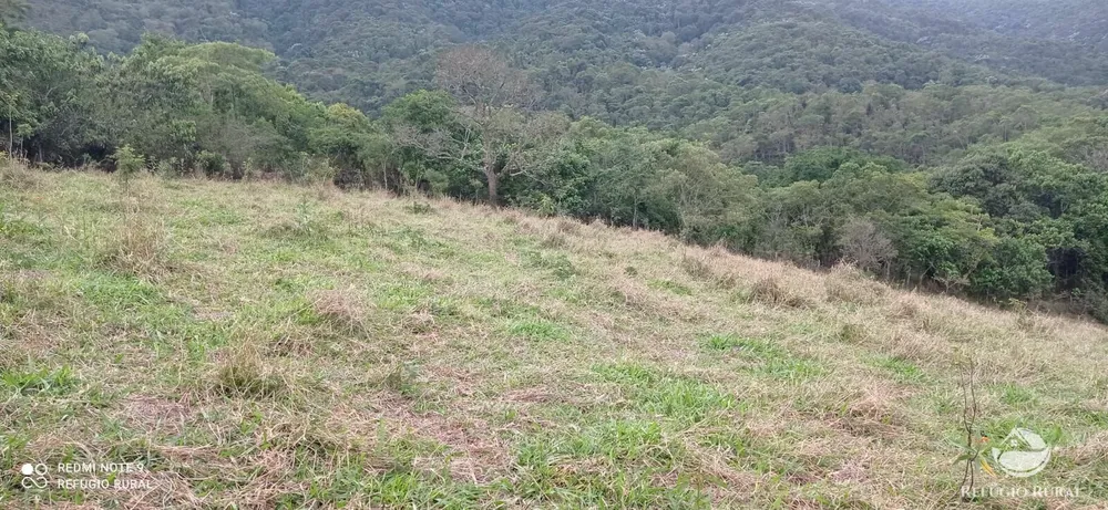 Sítio, 15 hectares - Foto 6