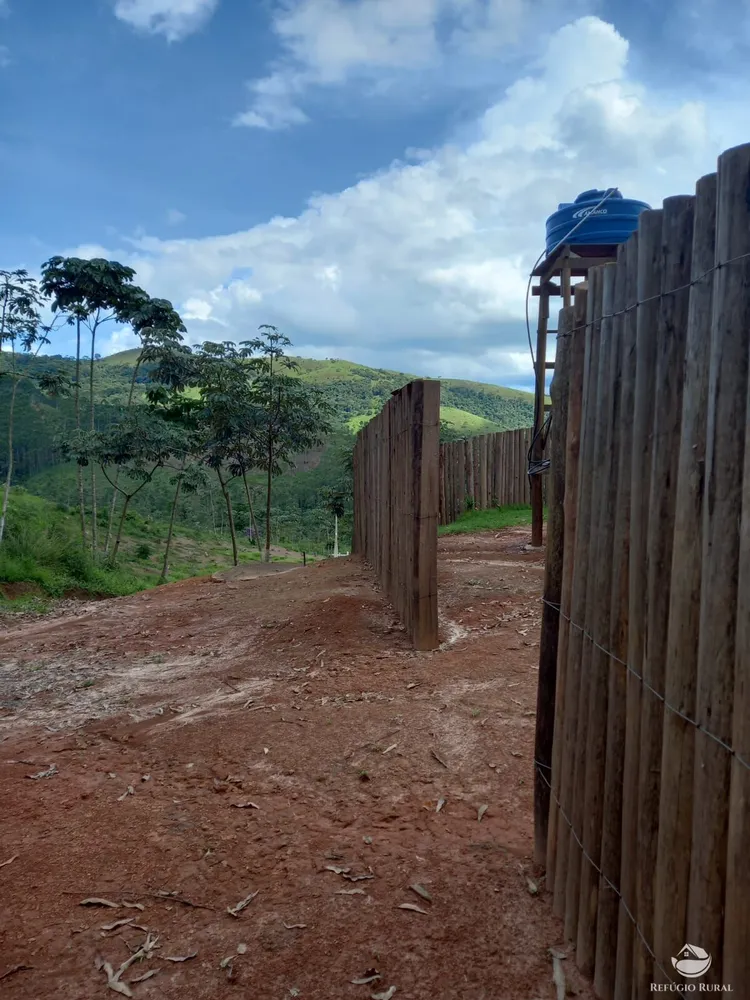 Chácara, 3 hectares - Foto 14