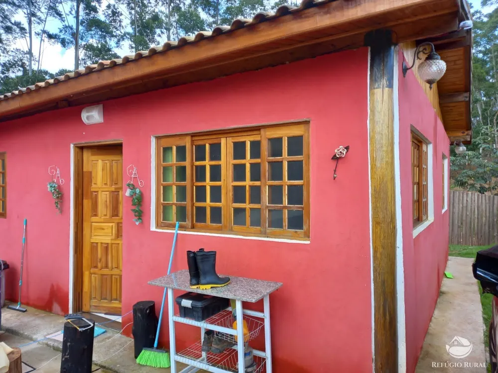 Chácara, 3 hectares - Foto 8