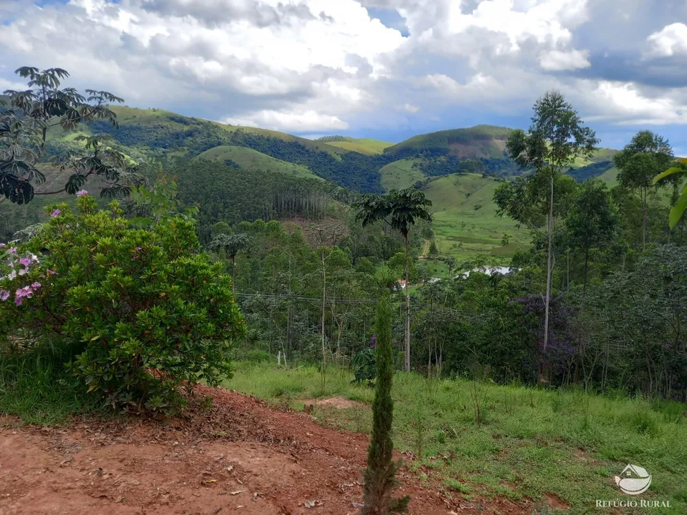 Chácara, 3 hectares - Foto 11