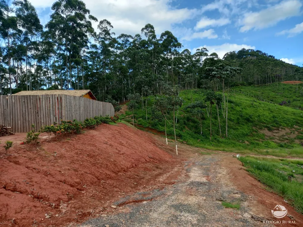 Chácara, 3 hectares - Foto 12