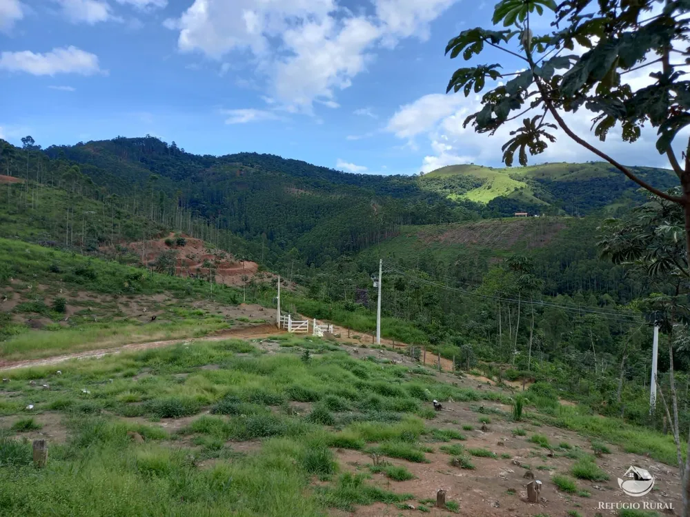Chácara, 3 hectares - Foto 15