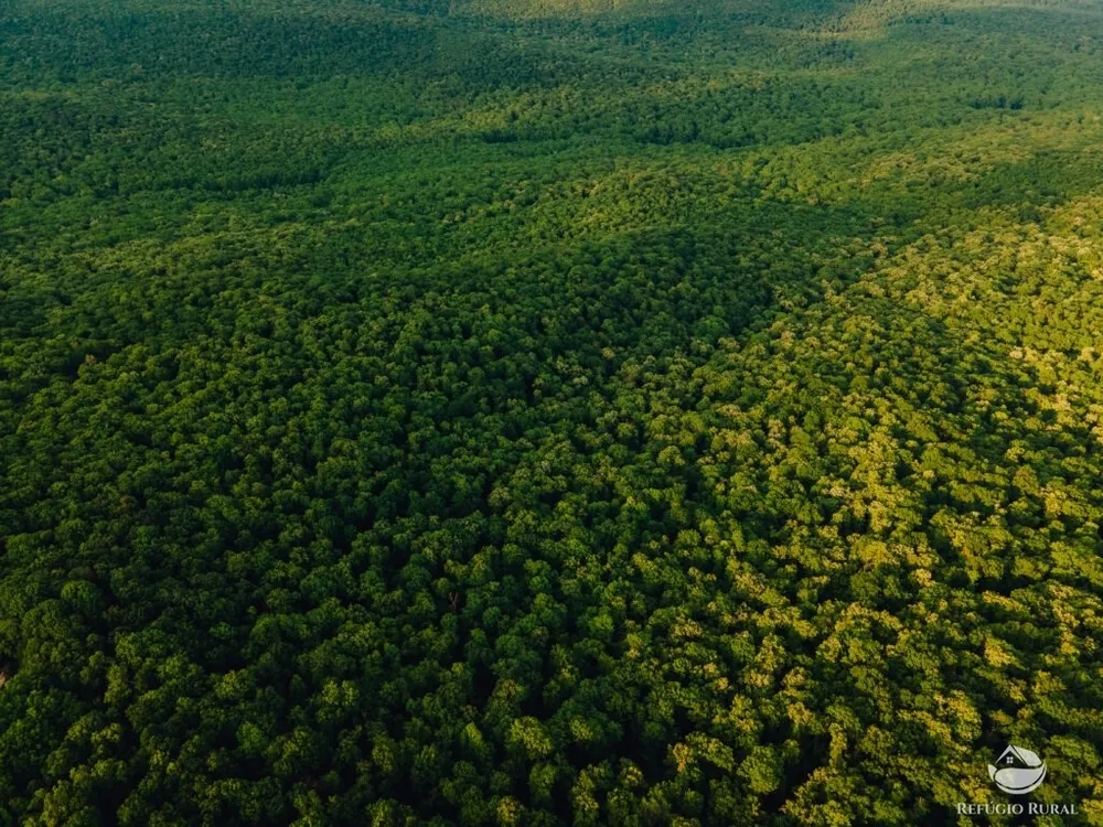 Fazenda, 1600 hectares - Foto 1