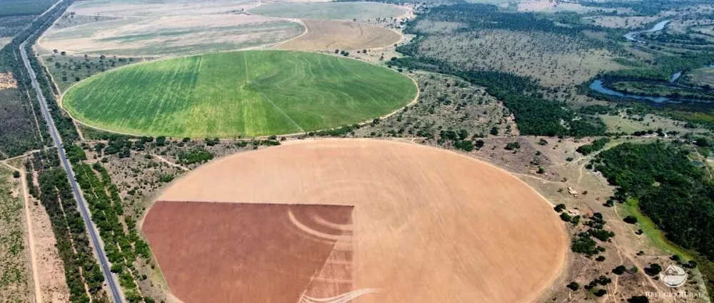 Fazenda, 615 hectares - Foto 3