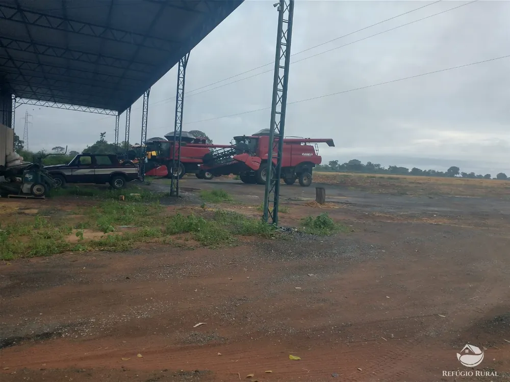 Fazenda, 615 hectares - Foto 10