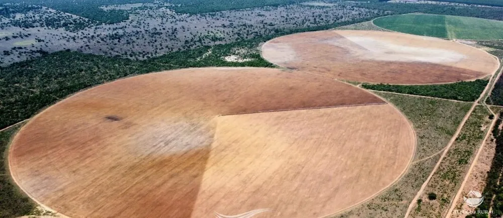 Fazenda, 615 hectares - Foto 11
