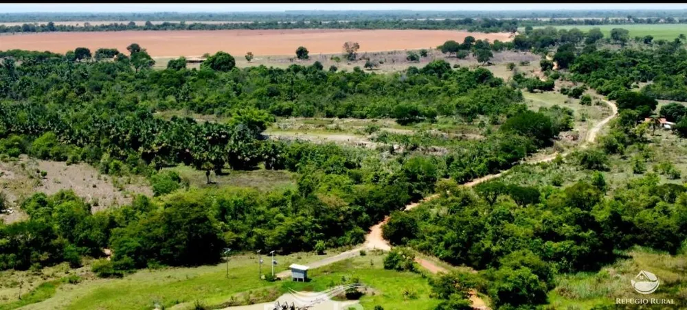 Fazenda, 615 hectares - Foto 2