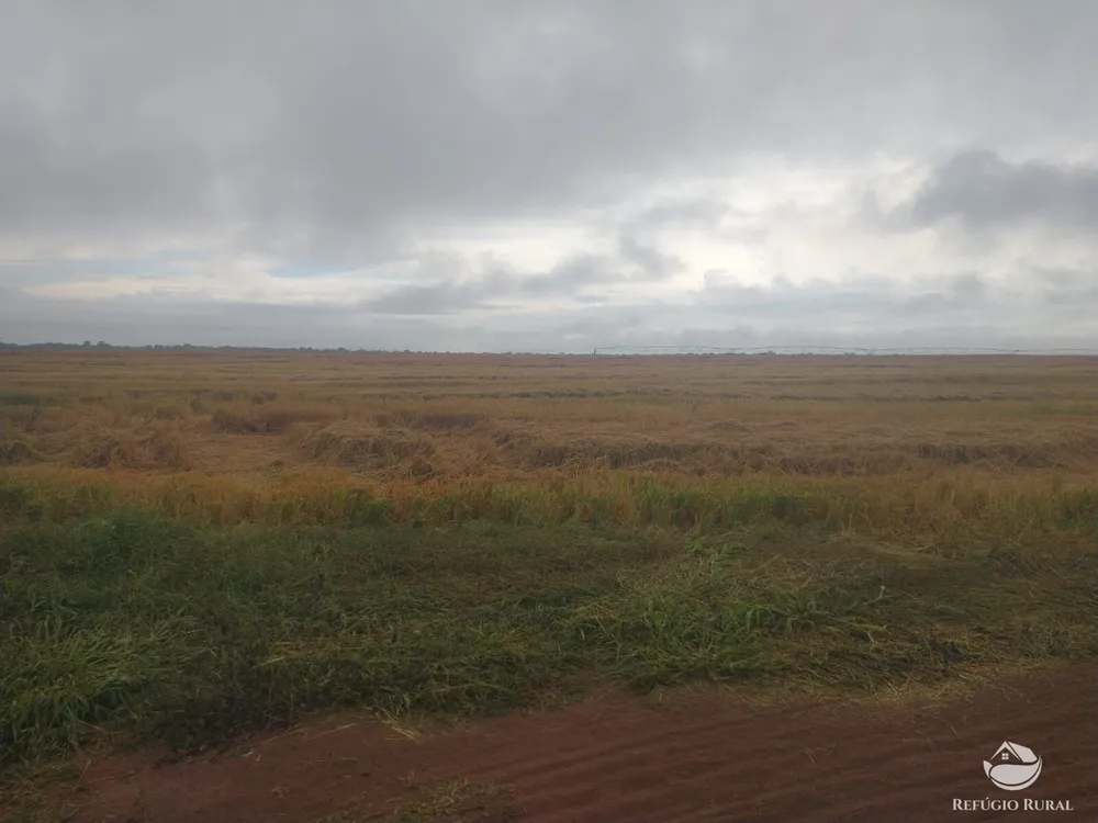 Fazenda, 615 hectares - Foto 4