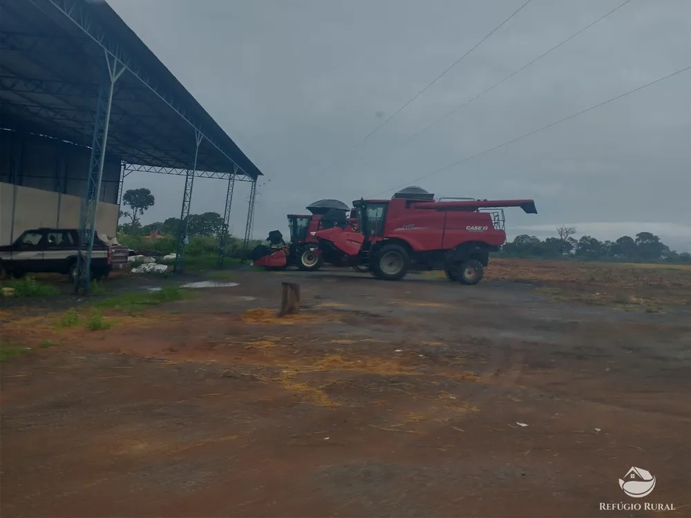 Fazenda, 615 hectares - Foto 8