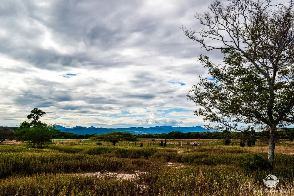 Fazenda, 392 hectares - Foto 1