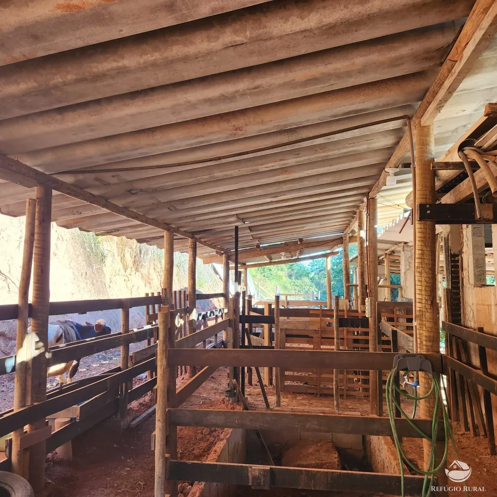 Chácara, 5 hectares - Foto 12