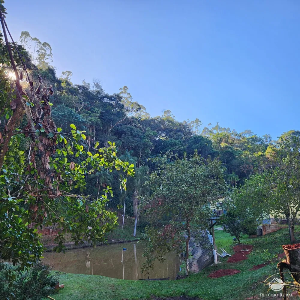 Chácara, 5 hectares - Foto 4