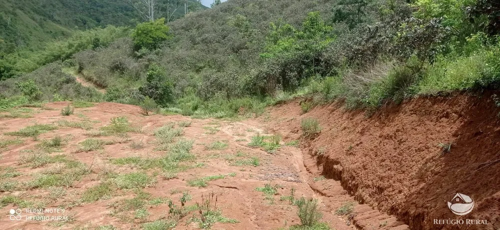 Sítio, 24 hectares - Foto 14