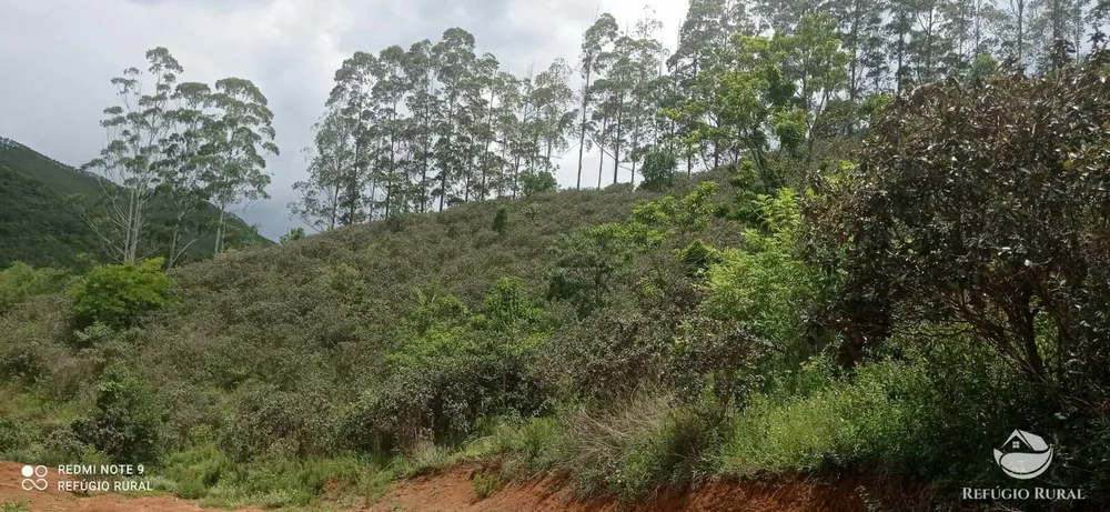 Sítio, 24 hectares - Foto 13