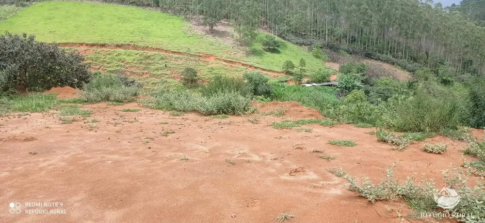 Sítio, 24 hectares - Foto 15