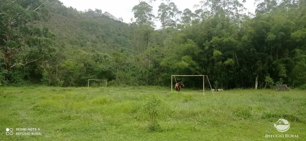 Sítio, 24 hectares - Foto 7