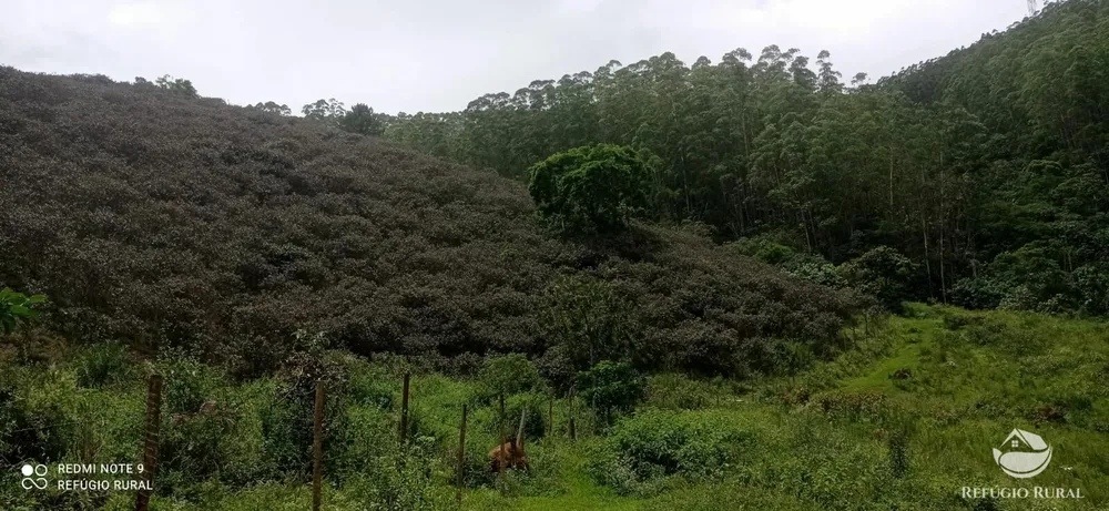 Sítio, 24 hectares - Foto 16